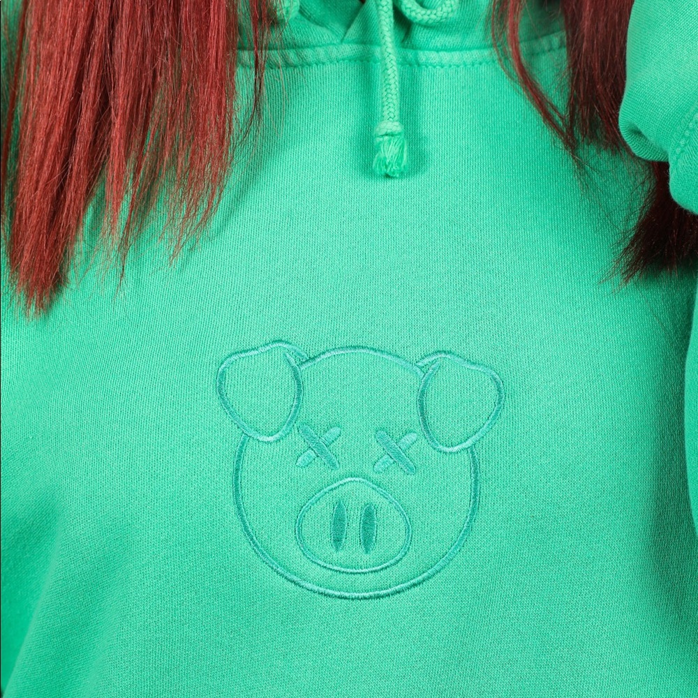 Embroidered Logo Hoodie Emerald Shane Dawson NEW - Picture 4 of 7